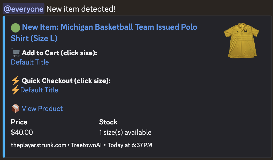 Activity feed